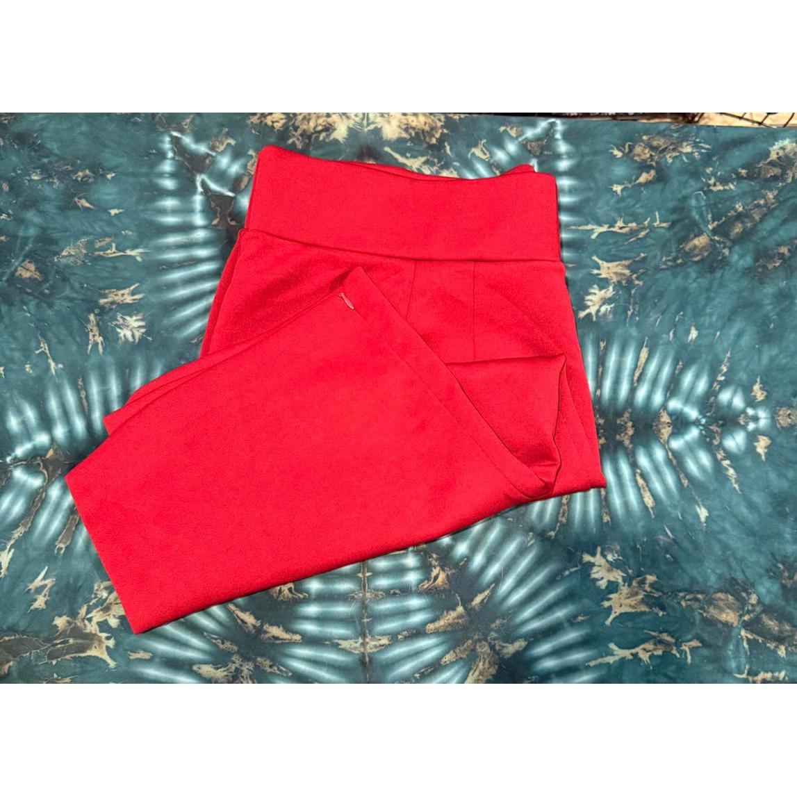 Enwot Eloquii Size 22 - Red Pencil Skirt